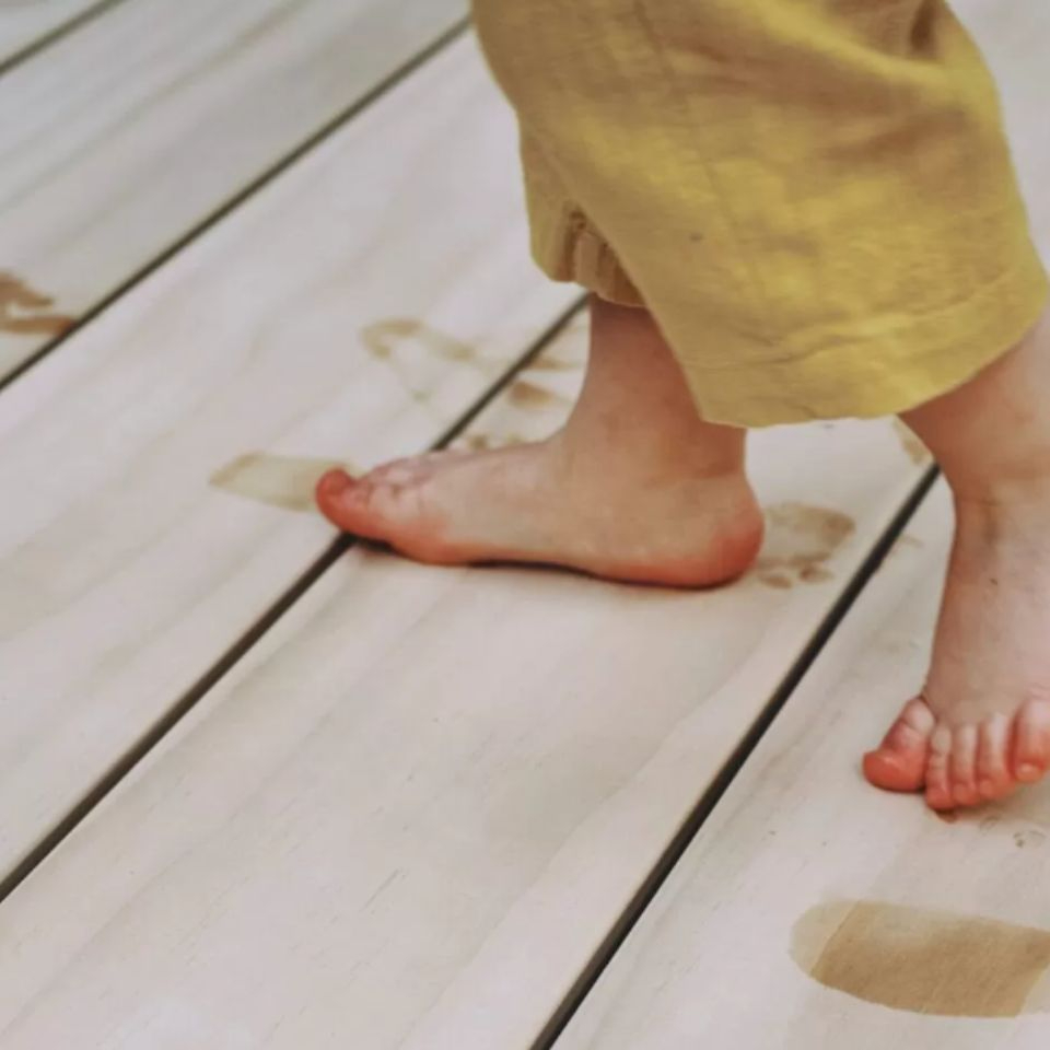  Accoya